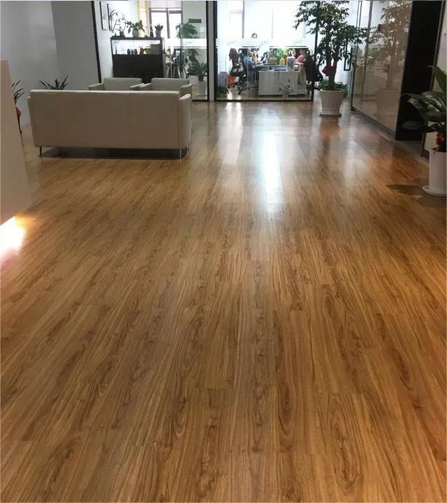 木紋黄瓜视频下载APP