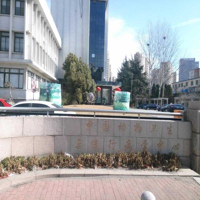 黄瓜视频下载APP——雅麗