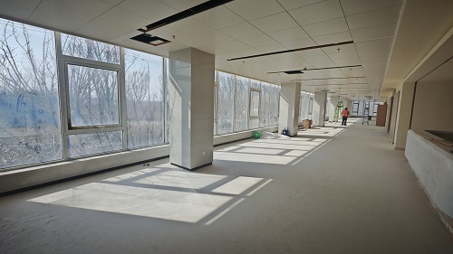 MVIMG_20250220_110308.jpg